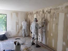 Best Asbestos and Lead Testing During Mold Inspection in Air Force Academy, CO